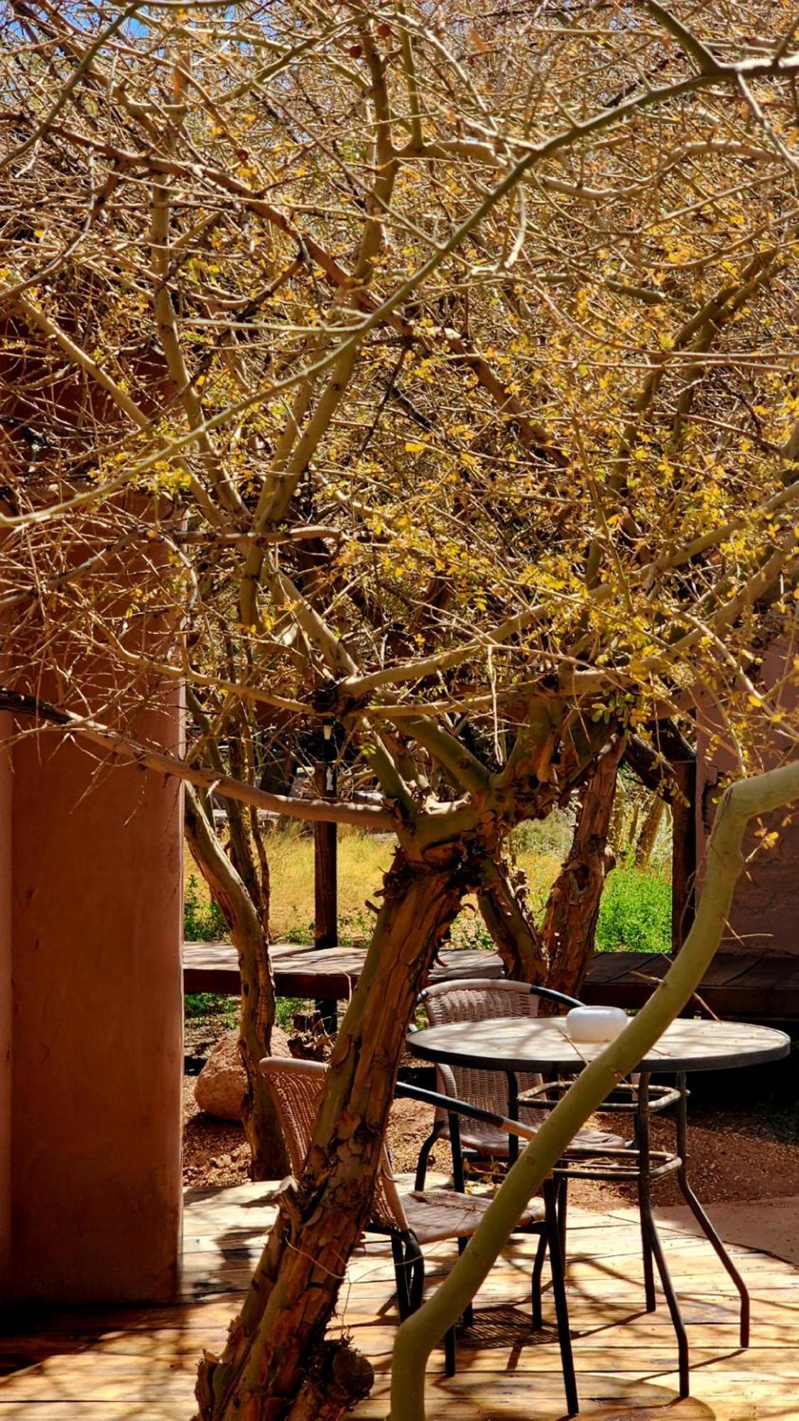 Hotel Tulor San Pedro de Atacama Buitenkant foto